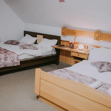 Guest house Artarii Craiului Predelut