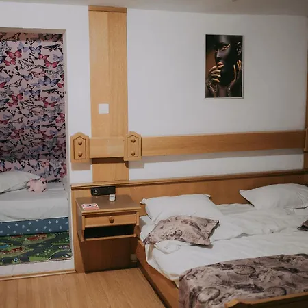 Artarii Craiului Guest house