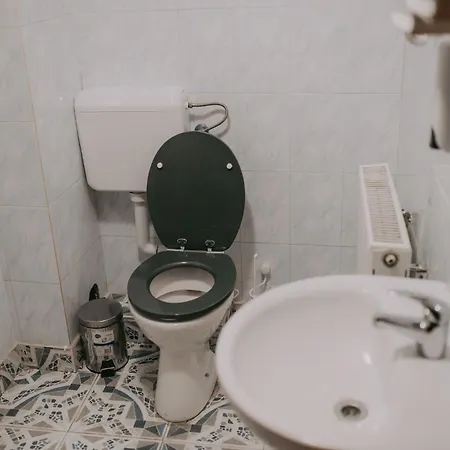 Guest house Artarii Craiului